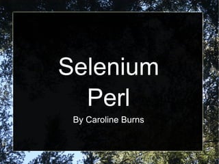 Selenium
Perl
By Caroline Burns
 