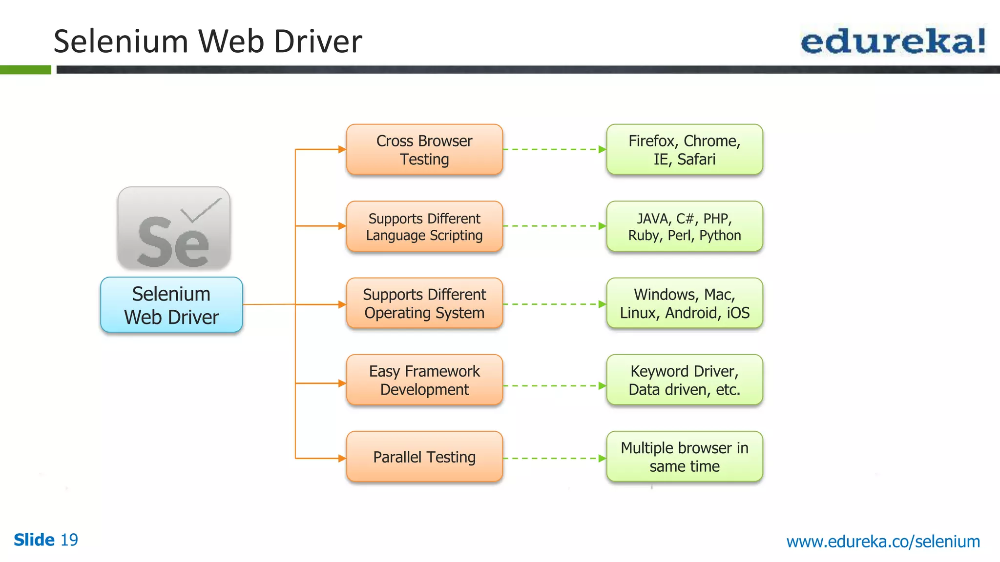 Slide 19 www.edureka.co/selenium
Selenium Web Driver
Selenium
Web Driver
Cross Browser
Testing
Parallel Testing
Supports Different
Language Scripting
Supports Different
Operating System
Easy Framework
Development
Firefox, Chrome,
IE, Safari
Multiple browser in
same time
JAVA, C#, PHP,
Ruby, Perl, Python
Windows, Mac,
Linux, Android, iOS
Keyword Driver,
Data driven, etc.