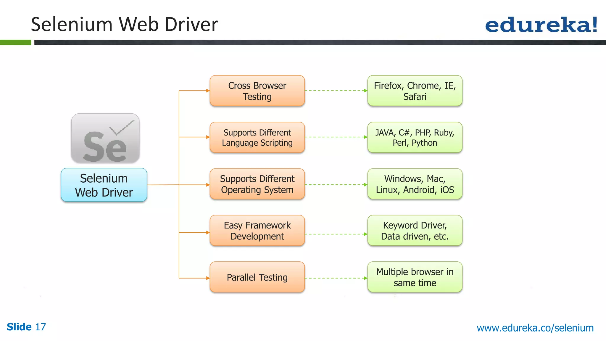 Slide 17 www.edureka.co/selenium
Selenium Web Driver
Selenium
Web Driver
Cross Browser
Testing
Parallel Testing
Supports Different
Language Scripting
Supports Different
Operating System
Easy Framework
Development
Firefox, Chrome, IE,
Safari
Multiple browser in
same time
JAVA, C#, PHP, Ruby,
Perl, Python
Windows, Mac,
Linux, Android, iOS
Keyword Driver,
Data driven, etc.
 