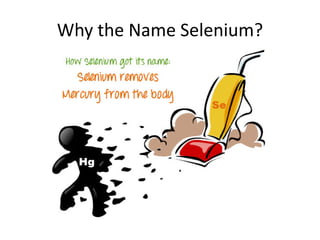 Why the Name Selenium?
 