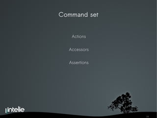 Command set Actions Accessors Assertions 