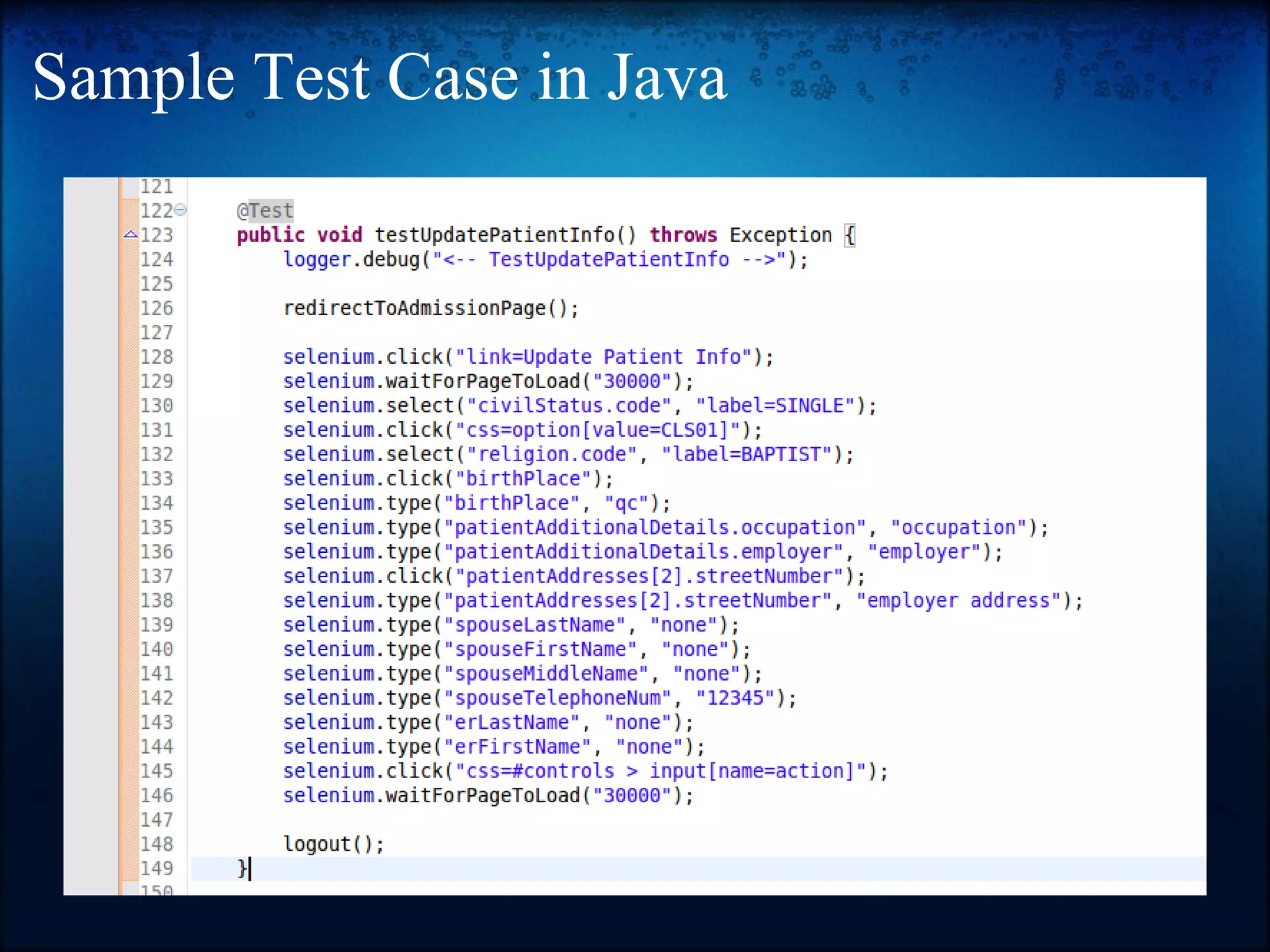 Sample Test Case in Java   