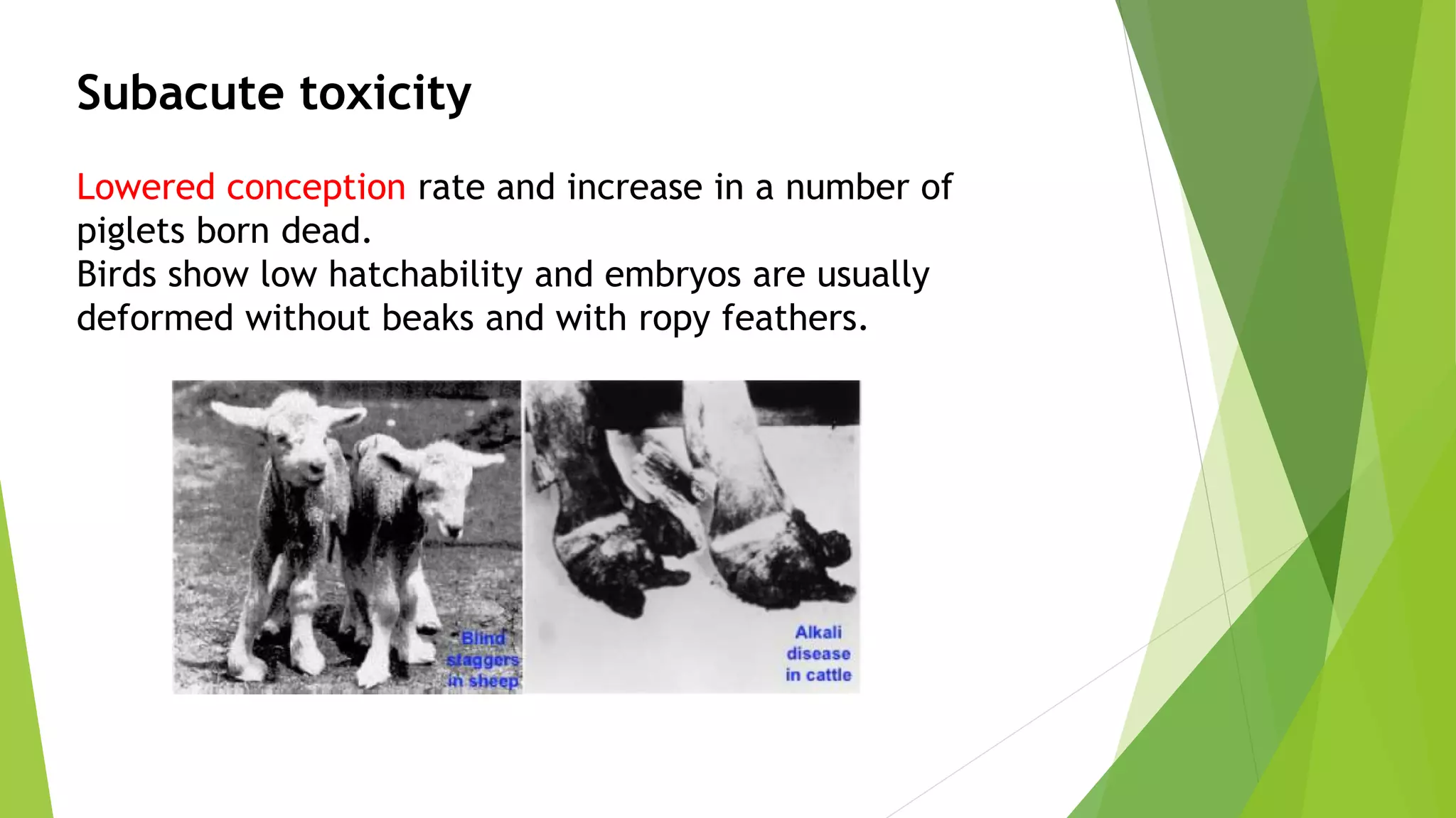 Subacute toxicity
Lowered conception rate and increase in a number of
piglets born dead.
Birds show low hatchability and embryos are usually
deformed without beaks and with ropy feathers.
 