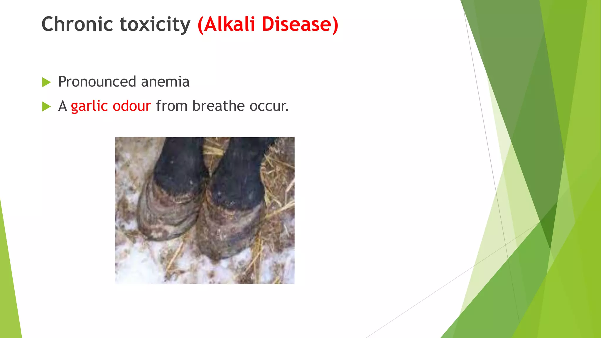 Chronic toxicity (Alkali Disease)
 Pronounced anemia
 A garlic odour from breathe occur.
 