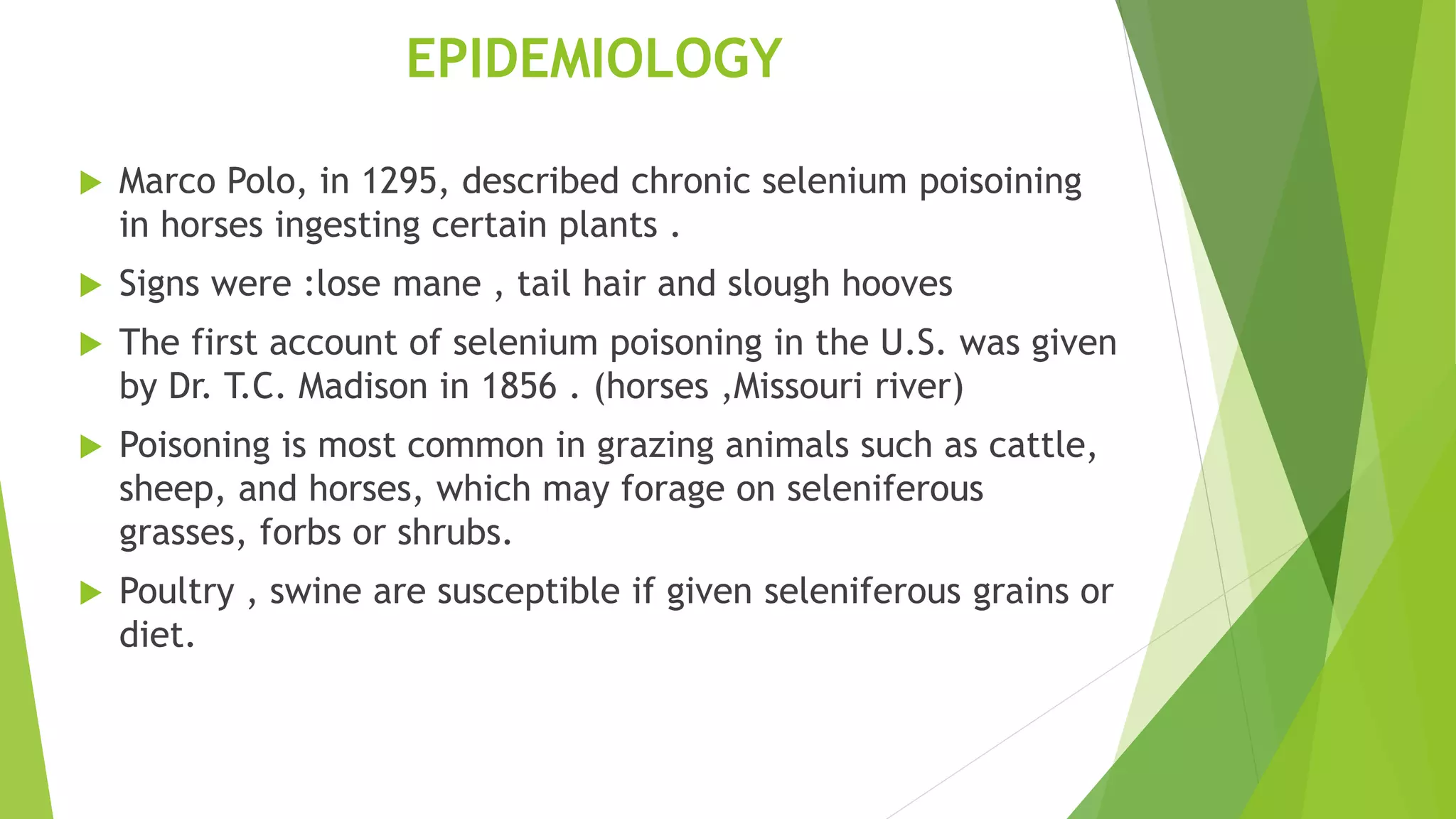 EPIDEMIOLOGY
 Marco Polo, in 1295, described chronic selenium poisoining
in horses ingesting certain plants .
 Signs were :lose mane , tail hair and slough hooves
 The first account of selenium poisoning in the U.S. was given
by Dr. T.C. Madison in 1856 . (horses ,Missouri river)
 Poisoning is most common in grazing animals such as cattle,
sheep, and horses, which may forage on seleniferous
grasses, forbs or shrubs.
 Poultry , swine are susceptible if given seleniferous grains or
diet.
 