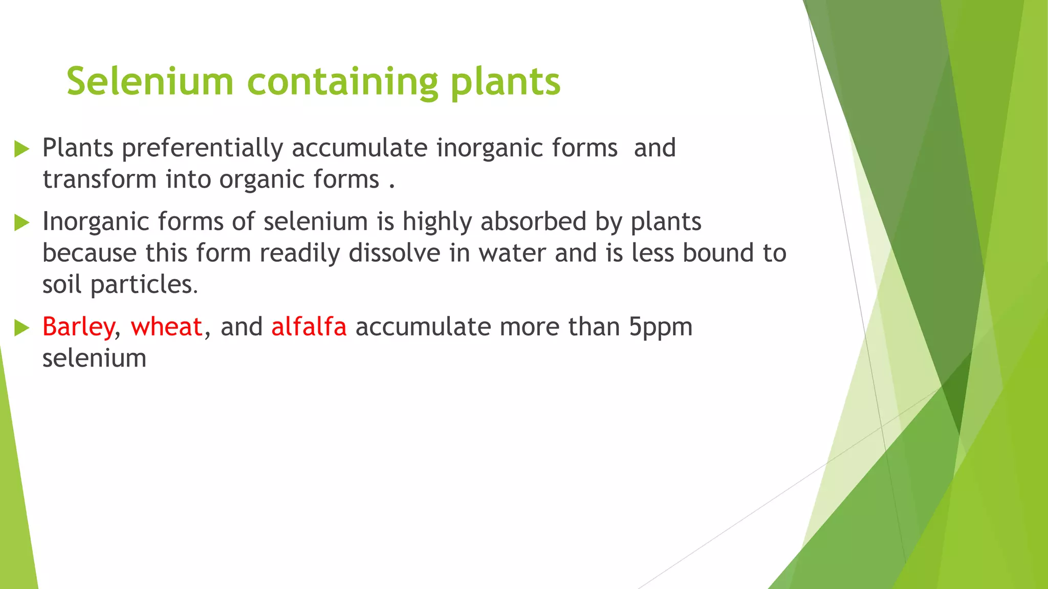 Selenium containing plants
 Plants preferentially accumulate inorganic forms and
transform into organic forms .
 Inorganic forms of selenium is highly absorbed by plants
because this form readily dissolve in water and is less bound to
soil particles.
 Barley, wheat, and alfalfa accumulate more than 5ppm
selenium
 