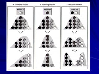 Endogamia em animais cativos
 