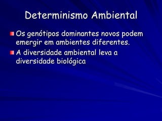 Tamanho populacional e o risco de
           extinção
 