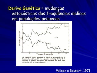 Causas da evolução

•Influencias ambientais

•Migrações

• Deriva genética

• Seleção sexual
 