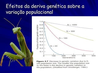 Migrações:


Fluxo Gênico

-> os indivíduos férteis entram e saem de uma
    população

-> reduz as diferencias genéticas entre as
    populações
 