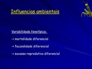 Convergência
 Espécies diferentes mas com
 estruturas similares
                             Mesma
                   Picidae   função no
                             ecossistema
                             Pica-paus
Hawaii                       do Pacifico




New Zealand



                                           África   América do Sul
              Galapagos
 