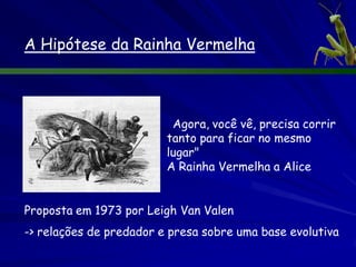 A Especiação por Alopatria
        Ammospermophilus harrisii   Ammospermophilus leucurus




Duas espécies de esquilo de chão provavelmente evoluíram de uma
população ancestral comum que era separada pela formação do Grand
Canyon.
 