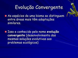 A Especiação por Alopatria
              •   1. Uma população

              •   2. A população fica
                  dividida por uma
                  barreira isolando sub-
                  populações
 