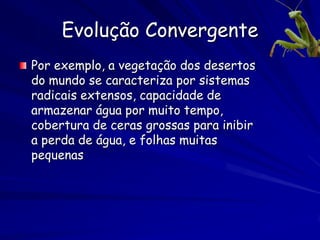 A Especiação por Alopatria
              •   3. As duas populações
                  evolvem
                  independentemente,
                  causando uma
                  divergência em seus
                  atributos.

              •   4. As populações
                  reunidas ao retirar a
                  barreira, mas já são
                  tão distintas que não
                  cruzam entre elas.
 