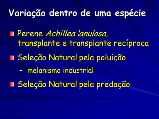 O Isolamento Reprodutivo ocorre com ou
           sem o Isolamento Geográfico


A especiação por
alopatria ocorre quando
o isolamento geográfico
cria uma barreira
reprodutiva (um
mecanismo extrínseco).

A especiação por
simpatria ocorre quando
uma barreira
reprodutiva é criada por
causas distintas do
isolamento geográfico
(mecanismos
intrínsecos).
                           Especiação por alopatria Especiação por simpatria
 
