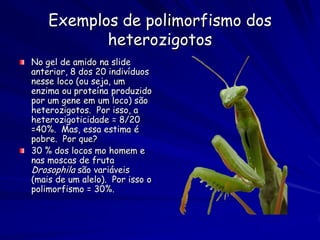 Radiação adaptativa
A radiação adaptativa é a especiação
  rápida de uma ou poucas espécies
  associada a exploração de recursos
  ecológicos disponíveis.
 