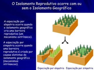 Ainda com níveis
  baixas de
  recombinação,
  existe uma troca
  genética suficiente,
  para permitir novas
  combinações
  alelicas.
(Figura 4 de Cohan,
  1996)
 