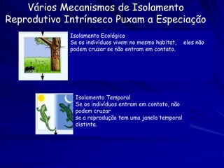 Cohan (1996) concluiu que:
1.    A recombinação NÃO preserve a
     diversidade genética de bactéria.

2.     A troca genética NÃO ameaça a
     integridade de adaptações populacionais.

3.    A troca genética pode transferir
     adaptações entre espécies de bactéria.
 