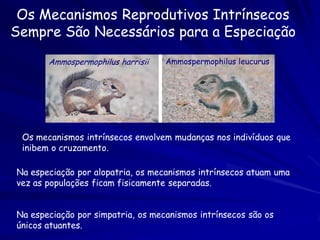 Implicações:

1. As mutações adaptivas em bactéria têm o
   potencial de erodir a diversidade da
   população.

Diferente a organismos que reproduzem
   sexualmente, a mutação adaptiva é
   transferida a vários ambientes genéticas
   e não implica que a genoma intera do
   indivíduo da mutação original é
   transferida interamente.
 