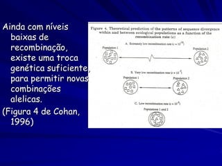 O que uma espécie?
Uma espécie consiste de
 populações de indivíduos
   – capazes de cruzamento
   – compartindo informação
     genética
   – Com características
Genoma – código guardado nos
 filamentos do DNA que é
 copiado na divisão celular e
 juntado na reprodução
Acido De-oxy-ribo-nucleico: qualquer de vários ácidos nucleicos que
formam a base molecular da herdaria,especialmente localizadas no
nucleo celular, e formam um hélice dobre
 