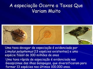 Gênero: um grupo de espécies
     com parentesco elevado
Os nomes científicos são da forma: Gênero espécie,
   – Por exemplo Homo sapiens (nós), Acanthaster planci (estrela
     do mar), Atta sexdens (a saúva limão) .
   – Nomes de Gêneros e espécies provem do Latim ou Grego

O nome de uma espécie deve incluir o ano e o autor da
  descrição original: Crassostrea gigas (Thunberg, 1793)
  (ostra japonesa).
   – Cuidado com itálico e (parêntese): têm sentido.
   – Os nomes científicos são constantes; os nomes comuns variam
     com cultura, local e linguagem.
 