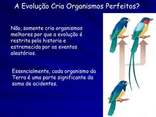 INDEXAÇÃO TAXONÔMICA DAS ESPÉCIES



  • Insetos nas sementes de macucu (Aldina latiflora) antes e depois da
  dispersão
  • Insetos nas sementes do macucu Aldina latiflora (Leguminosae) antes e
  depois da dispersão
  • Influência de variáveis ambientais sobre a migração e extensão da área de
  forrageamento de uma colônia de Eciton burchelli (Ecitonini) na Amazônia
  central
  • Influência de variáveis ambientais sobre a migração e extensão da área de
  forrageamento de uma colônia da formiga-de-correição Eciton burchelli
  (Formicidae: Ecitonini) na Amazônia central
  • Padrão de distribuição dos machos do capitão da mata no dossel e sub-
  dossel
  • Padrão de distribuição dos machos do capitão da mata Lipaugus vociferans
  (Aves: Cotingidae) no dossel e sub-dossel
 
