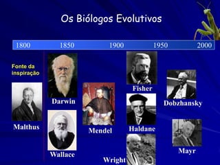 Ecologia Darwiniana
         Ecologia Evolutivo
               (animais, plantas,
           micro-organismos)

         Ecologia do Comportamento
                           (animais)

         Sociobiologia
               (animais sociais)
 