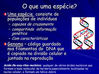 Ernst Haeckel
A árvore da
vida
Século 19
 