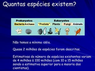 O que é a filogenética?
A filogenética é o estudo das relações evolutivas
 dentro de e entre as espécies.



  roedores           aves                 roedores


          jacarés                primatas


    marsupiais              lagartos
 