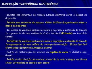 A
grande
árvore
da vida


Estamos
aqui!
 