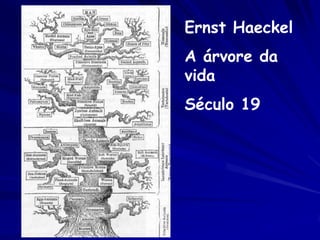 Árvores são hipóteses sobre a
     historia evolutiva

  Já vimos um entendimento e a
  formulação dessas hipóteses.
 Agora, vamos ver como testar as
            hipóteses.
 