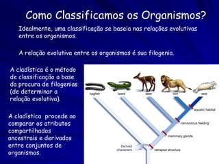 Testando Árvores
Examine essas quatro seqüências:
                                              P   Q
         P.     ACATACG
         Q.     GTATACG
         R.     GCACATG
         S.     GCACACA                       R   S

Como explicar o atributo indicado?
   1. Homologia: mudou somente uma vez.
   2. Homoplasia: mudou duas ou mais vezes.

    Homologia mais provável, mas ainda existe a
    possibilidade da homoplasia.
 