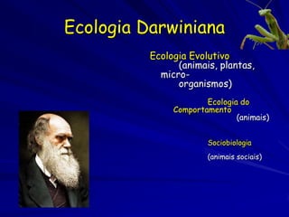 O que é a teoria da evolução?
 As espécies de animais e plantas não foram criadas na
 sua forma atual.
Mas, as formas atuais são os resultados de
modificações graduais da formas anteriores,
representando adaptações aos ambientes
mutantes.
Não somente as espécies mudam gradualmente,
mas espécies novas originam de espécies que já
existiriam.
Por isso, as espécies muito diferentes podem ter
um ancestral comum no passado distante.
A variedade de espécies existentes originou de
umas poucas formas simples.
 