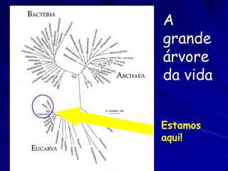 Extinção em massa


1. A extinção em massa ou um evento de nível de extinções
   (ENE) é uma queda acentuada do número de espécies
   num período relativamente curto de tempo.
 