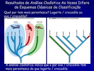 Extinção e diversificação


1. 99% das espécies estão extintas
2. Aumento da diversidade após grandes extinções
 