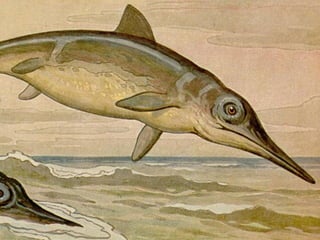 Processos aleatórios?


1. Diversificação é um processos de ramificação
 