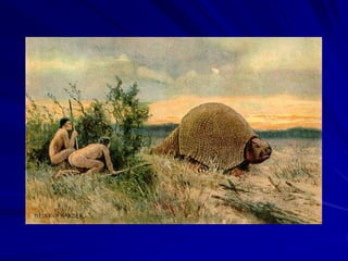 Processos aleatórios?


1. Diversificação é um processos de ramificação
2. Taxa de ramificação constante (D)
3. Taxa de extinção constante (E)


4. Se D> E  o clado sobrevive
5. Se D<E  extinção do clado
 