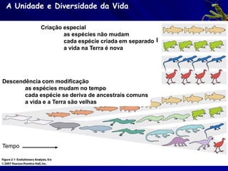 Teorias da Evolução -
         Corolários
O principio da seleção natural de Darwin

   – “A seleção natural é o processo gradual pelo qual a
     natureza seleciona as formas mais aptos de sobreviver e
     reproduzir num ambiente.”
   – Para a ação da seleção natural sobre uma população
     precisa existir variação na população e competição para
     recursos estratégicos.
   – O conceito da seleção natural argumenta que os
     organismos mais aptos dentro o nicho ambiental
     reproduzirão com mais freqüência do que os organismos
     menos aptos.
 