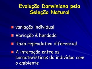 A Seleção Natural
Os organismos que têm
 características mais aptas aos
 ambientes em que moram
 sobrevivem mais, como também
 seu prole, porque essas
 características são herdadas.
  – Girafas mais altas, felinos
    mais rápidos, caçadores mais
    inteligentes, obtêm mais
    alimentos e sobrevivem melhor
  – Pragas ficam resistentes aos
    pesticidas
 