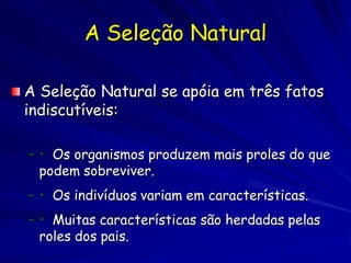 A seleção pode ser…
“natural” ou antropogenica…
 