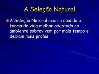 Antibióticos
Antibióticos – Guerra natural

       espécie 1 espécie 2



           antibiótico

       Recurso comum
 