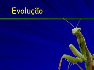 Teorias da Evolução

Origem Mitos /Cosmologias
  – Grego – Prometeu
                       Exemplos ocidentais
  – Genesis


                             Deus e Adão




 Prometeu e Atena
 