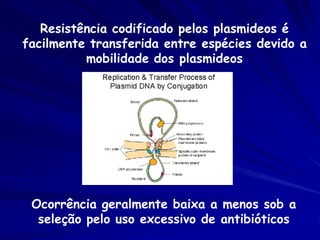 Aptidão
Os conceitos de
 aptidão e
 adaptação são
 relevantes
 SOMENTE num
 contexto ecológico
 específico. Não
 existe aptidão no
 sentido absoluto.
 