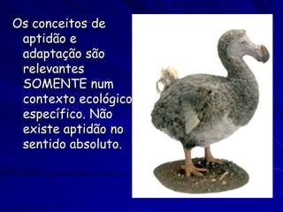 Micro-evolução

1. A micro-evolução é a ocorrência de
   mudanças de escala pequena nas
   freqüências alélicas de uma população,
   durante poucas gerações, ou mudanças
   sob o nível da espécie

2. Genética de populações

3. Genética ecológica
 