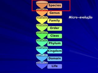 O que introduz variabilidade nos
  genótipos?
 Mutações
Introduzem novas variações genéticas
 