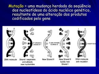 Quais são as pressões
 seletivas do ambiente de um
 organismo?
Exemplos de fatores   Exemplos de fatores
  bióticos:             abióticos:
 predadores           Disponibilidade de
 competidores          recursos
 mutualistas          Condições físicas
                       Condições químicas
 