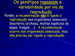 Efeitos da deriva genética sobre a
variação populacional
 