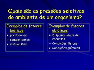 Deriva Genética
Mudanças de DNA ou genes que resultam por
acaso em vez de pela mutação
Efeito cumulativo de amostrar uma população
Significância maior em casos de um tamanho
populacional pequeno, ou seja, uma
variabilidade genética pequena que permite
menos indivíduos serem resistentes a
mudanças ambientais.
– Qualquer característica (alelo), deletéria, benéfica
  ou neutra tem mais probabilidade de ser perdida
  numa l população pequena (poço gênico) do que numa
  população maior
 