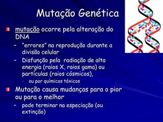 Deriva Genética = mudanças
 estocásticas das freqüências alelícas
 em populações pequenas




                       Wilso...