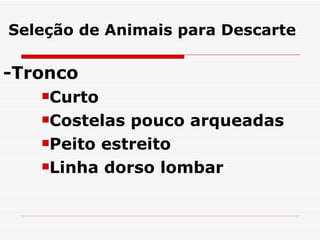 Seleção de Animais para Descarte -Tronco Curto Costelas pouco arqueadas Peito estreito Linha dorso lombar 